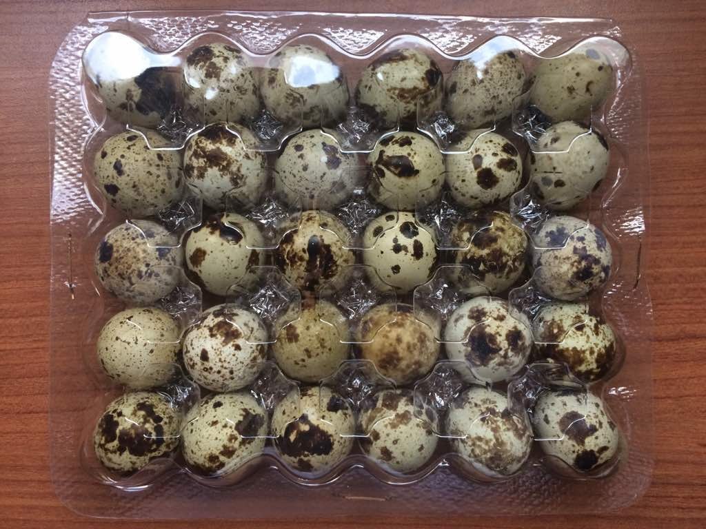 Charola de 200 piezas "Huevos de Codorniz en Puebla".